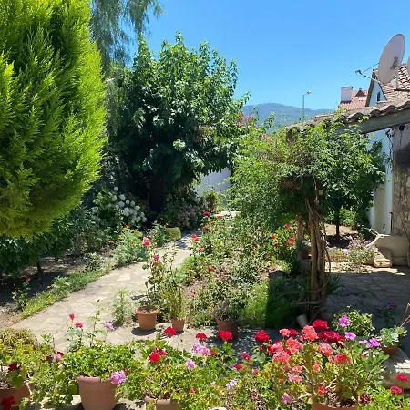 Helios House Selçuk