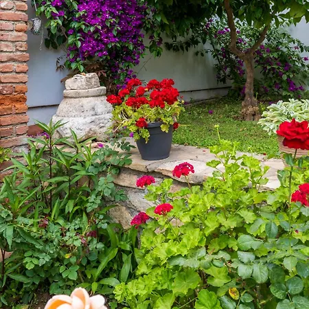 Helios House Feriehus Selçuk